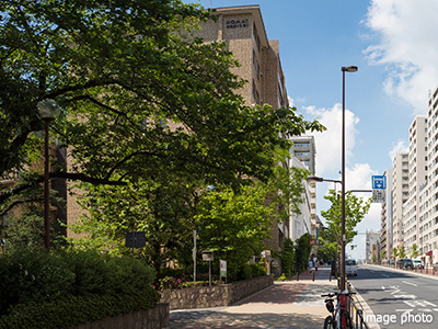 プラチナ通り｜ザ・パークハウス白金