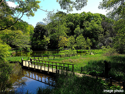 科学博物館附属自然教育園｜ザ・パークハウス白金