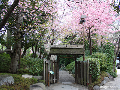 八芳園｜ザ・パークハウス白金